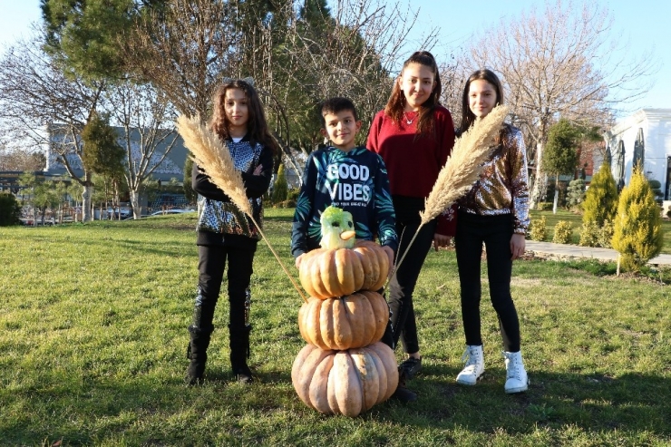 Kardan Değil Kabaktan Adam