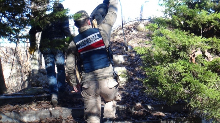 Yaralı Köpeğe Jandarma Sahip Çıktı