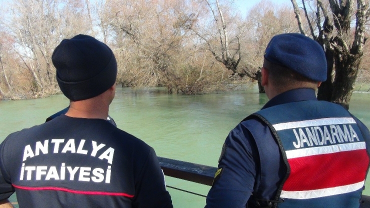 Şelaledeki Su Seviyesi Yükselince İki Kedi Ağaçta Mahsur Kaldı