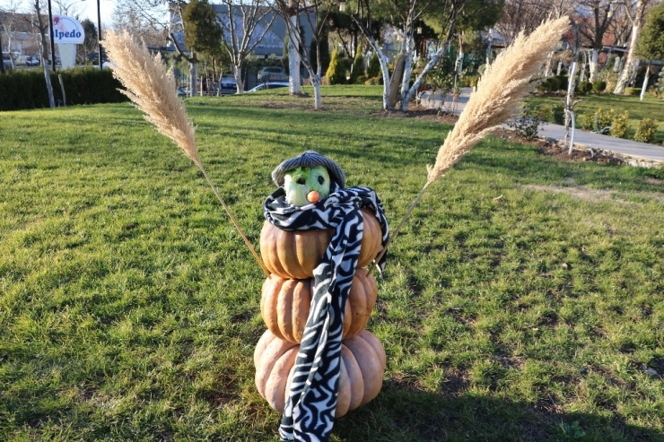 Kardan Değil Kabaktan Adam