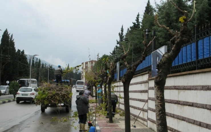 Yeşil Alanlar Kışlık Bakıma Alındı