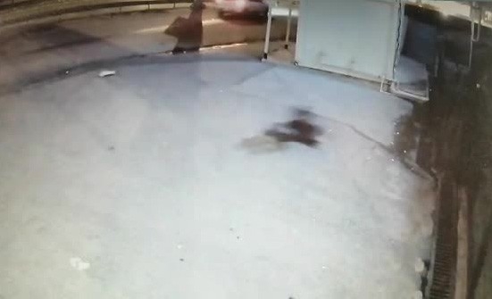 Genç Kızın Metrelerce Sürüklenerek Hayatını Kaybettiği Kaza Kamerada