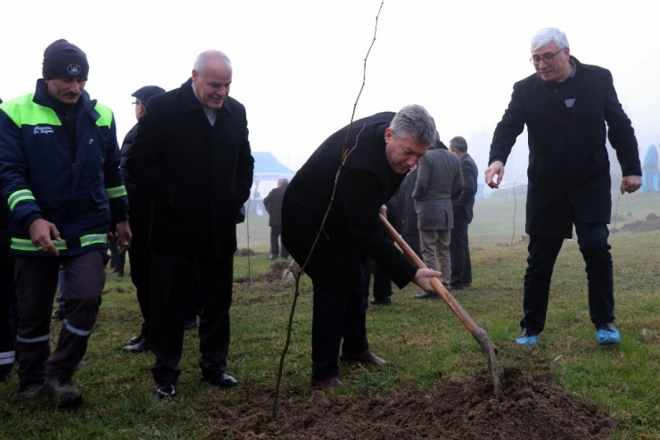 Sakaryalı Gazeteciler Hatıra Ormanına 250 Adet Fidan Dikti