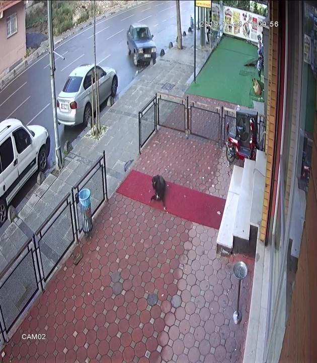 Sancaktepe’de Film Sahnelerini Aratmayan Kaza Kamerada