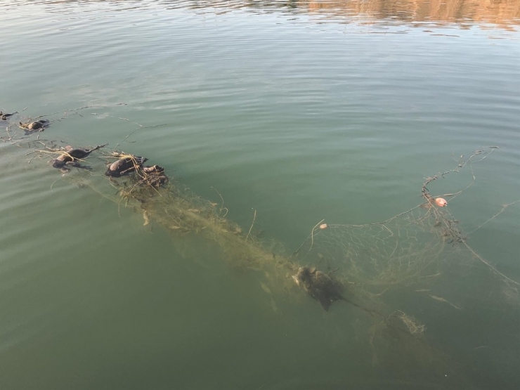 Sapanca Gölü’ndeki ’Hayalet Ağ’ Konusunda Delil Bulunamadı