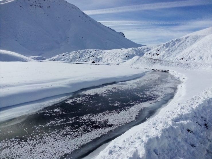 Yeşilöz Deresi Dondu, 3 Bin Rakımlı Yayla Beyazlar İçinde Kaldı