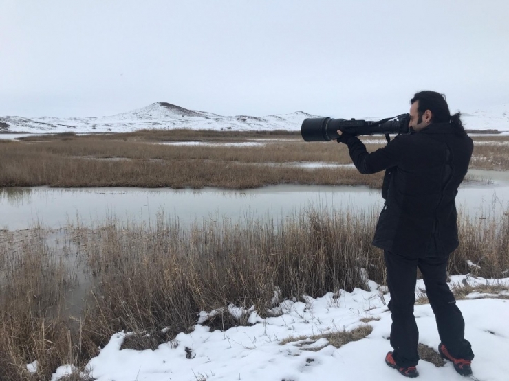 Sivas’ta Kış Ortası Kuş Sayımı Yapıldı