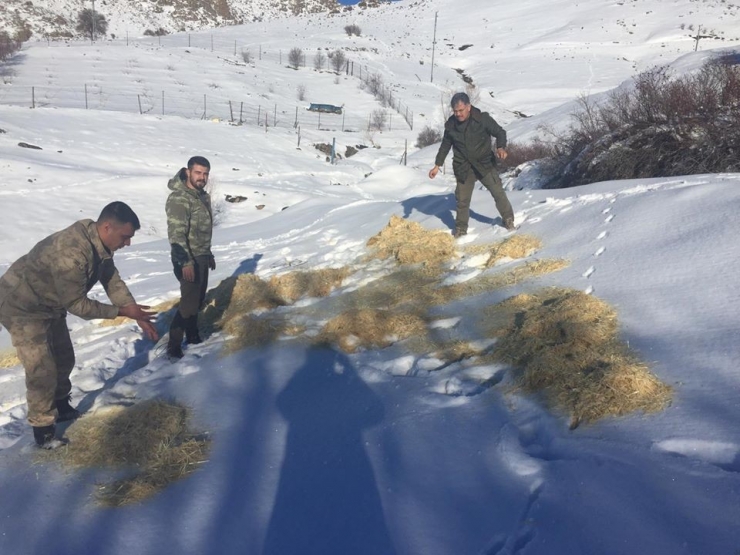 Yaban Hayvanları İçin Doğaya Yem Bırakıldı