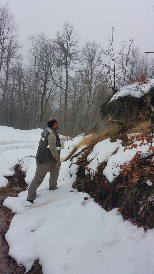 Yaban Hayvanları 2 Ton Yem Ve Yonca Bırakıldı