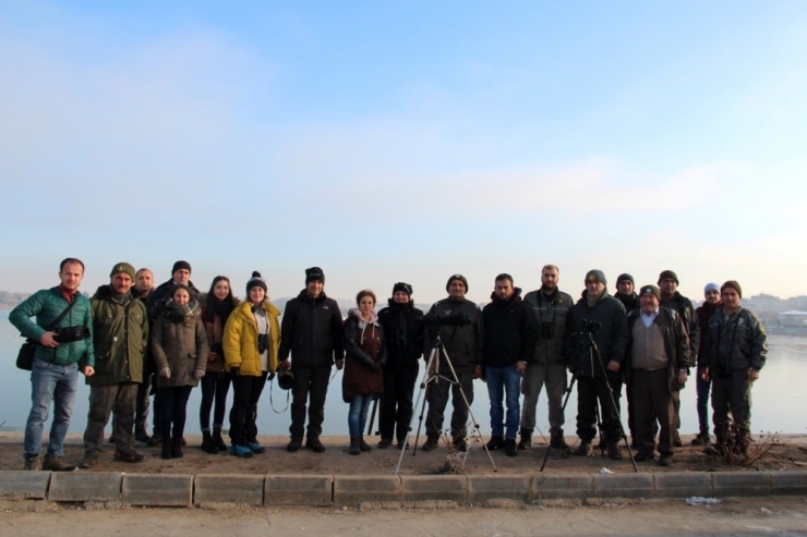 Beyşehir Gölü Milli Parkı’ndaki Kuş Varlığı Ortaya Çıkarılıyor