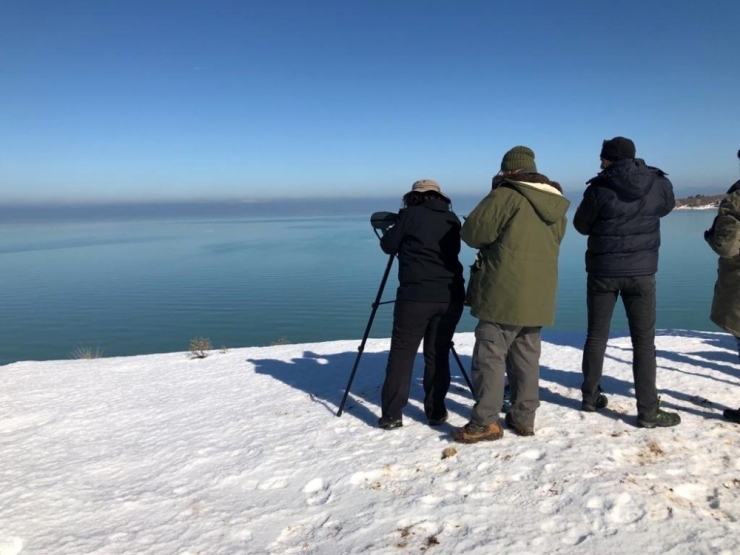 Beyşehir Gölü Milli Parkı’ndaki Kuş Varlığı Ortaya Çıkarılıyor