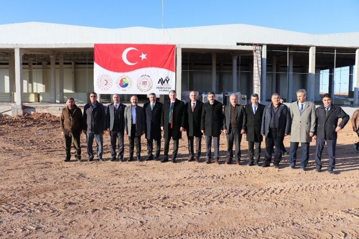 2020 Kayısının Yılı Olacak