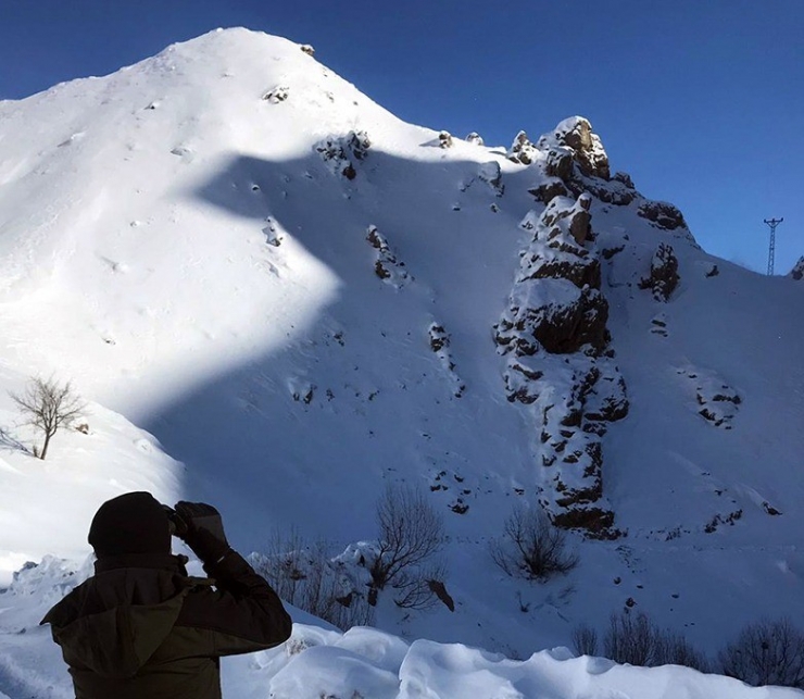 Dicle Elektrik Ekibi Azmetti, Kar Yığınları Arasında Arızayı Onardı