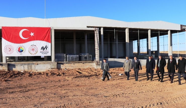 2020 Kayısının Yılı Olacak