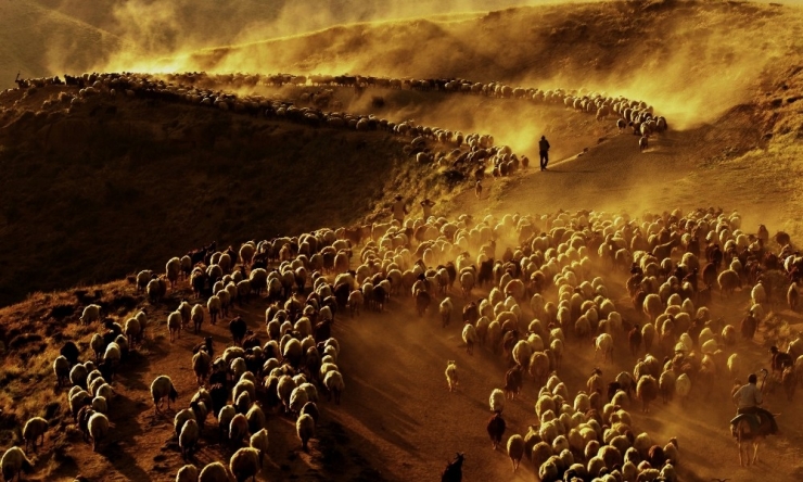 İha Muhabiri Özkan Olcay, İtb’nin Fotoğraf Yarışmasında Birinci Oldu