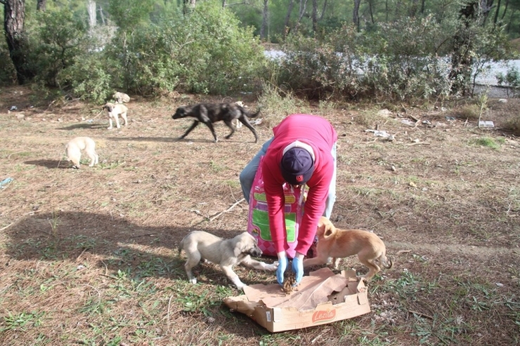 Can Dostlara Mama Desteği