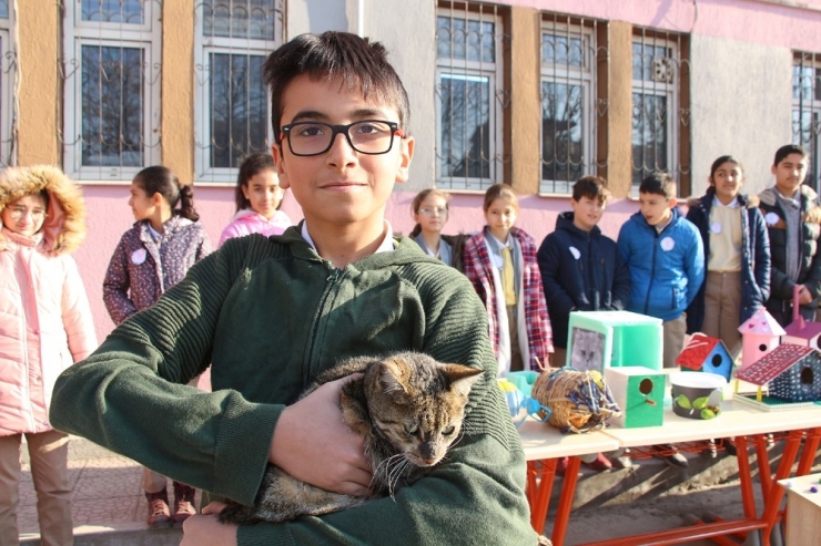 Atık Malzemeler Sokak Hayvanları İçin Kulübe Oldu