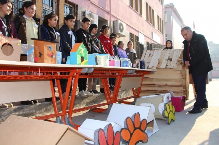 Atık Malzemeler Sokak Hayvanları İçin Kulübe Oldu