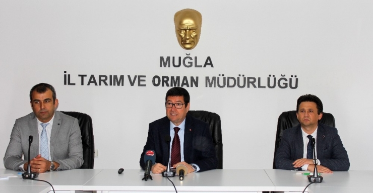 Saylak: “Muğla’nın Kurtuluşunun Yolu Tarım Ve Turizmin Birleşmesinden Geçiyor”