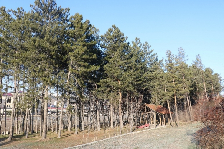 Türkiye’nin En İlginç Egzotik Parkı Sivas’ta Kurulacak