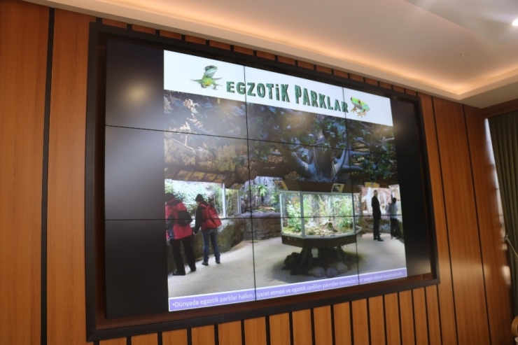 Türkiye’nin En İlginç Egzotik Parkı Sivas’ta Kurulacak