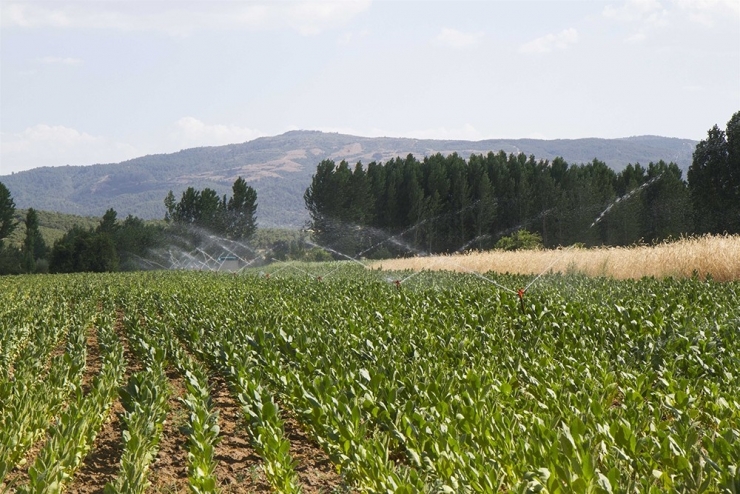 Dsi Manisa’da 15 Baraj 10 Gölet Yaptı