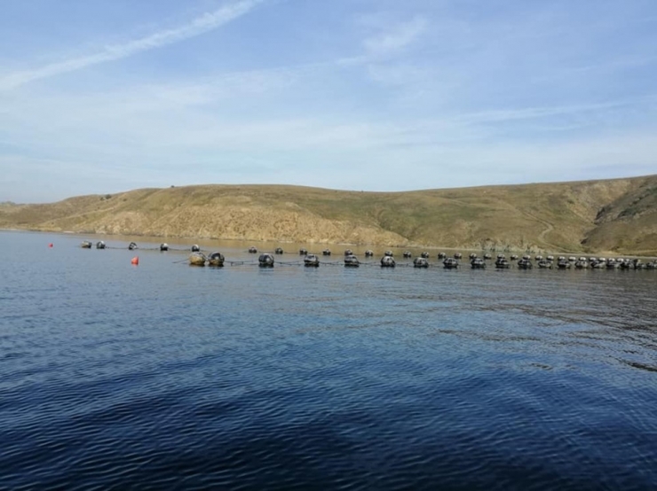 Paşalimanı’ndaki Midye Çiftliğinin Ruhsatı İptal Edildi