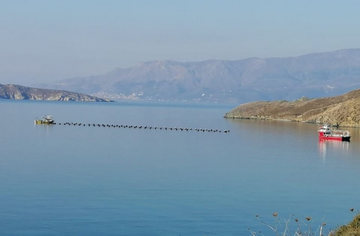 Paşalimanı’ndaki Midye Çiftliğinin Ruhsatı İptal Edildi