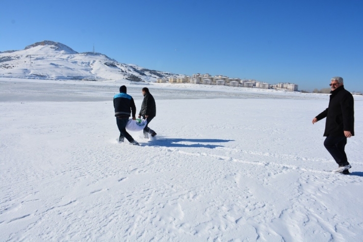 Tuşba Belediyesi, Yaban Hayvanları İçin Doğaya Yem Bıraktı