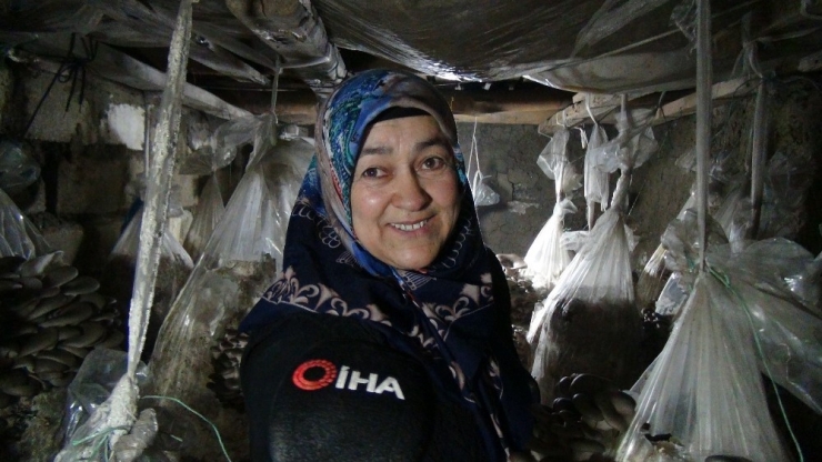 Vanlı Kadınlar Evlerinde Mantar Üreterek Aile Bütçelerine Katkı Sağlıyor