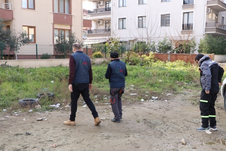 Yalova’da Oto Lastikleri Kedi Evlerine Dönüşüyor