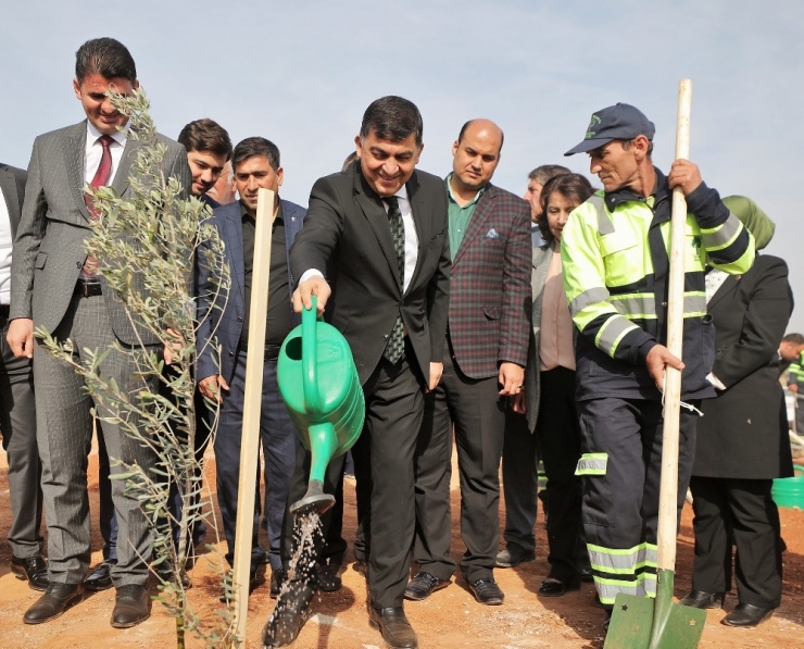 Milyonlarca Metrekare Yeşil Alan Oluşturuldu