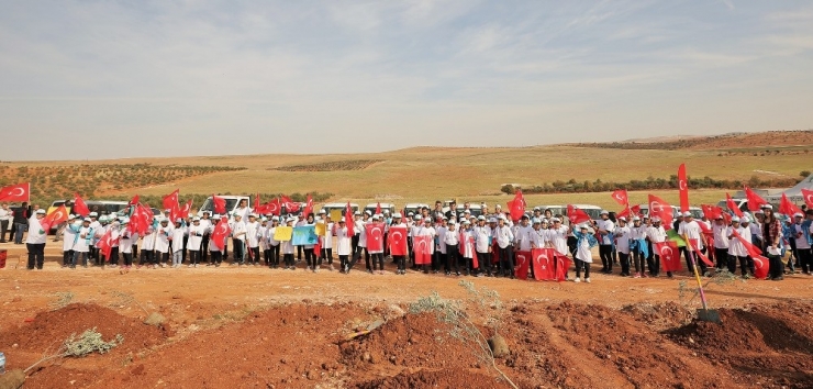 Milyonlarca Metrekare Yeşil Alan Oluşturuldu