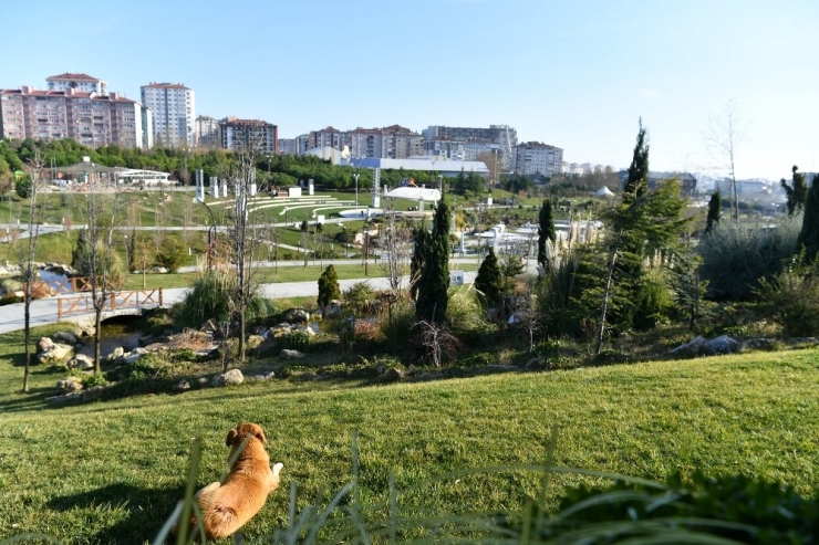 Beylikdüzü Belediyesi Mama Evleri Projesini Hayata Geçirdi
