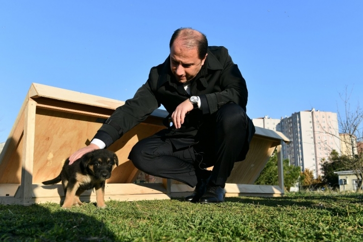 Beylikdüzü Belediyesi Mama Evleri Projesini Hayata Geçirdi