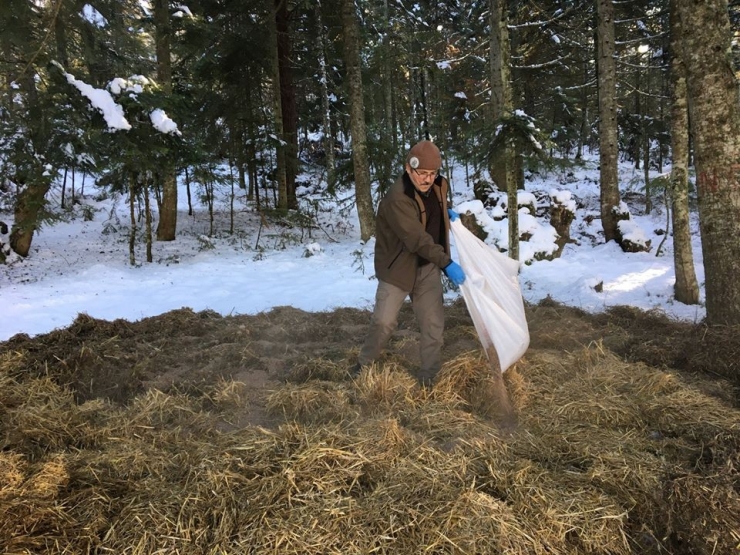 Bolu’da Yaban Hayvanları İçin Yem Bırakıldı