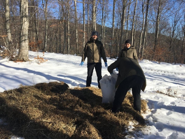 Bolu’da Yaban Hayvanları İçin Yem Bırakıldı