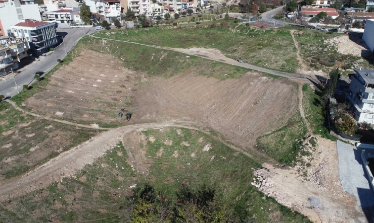 Buca’nın Kalbine Bin Ağaçlık Dev Orman