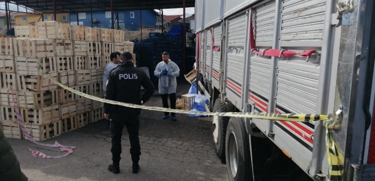 Geri Manevra Yapan Kamyonun Ezdiği Kadın Hayatını Kaybetti