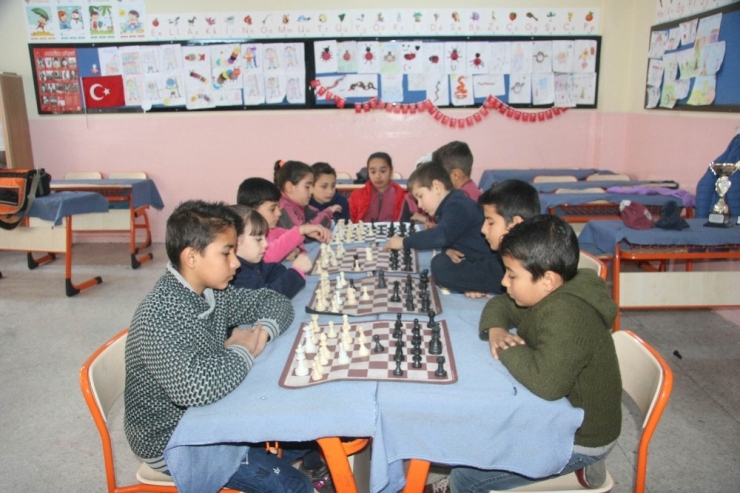 Şampiyon Kardeşler Madalyaya Doymuyor