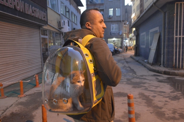 Sahiplendiği Kediyi Sırt Çantasında Gezdiriyor