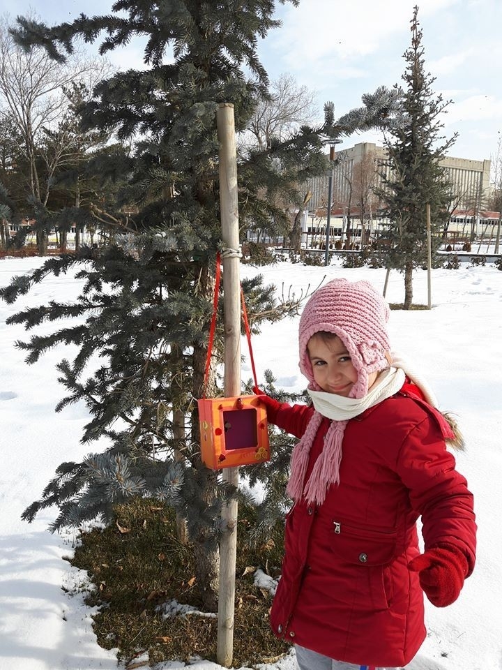Soğuklarda Kuşlar Sahipsiz Değil