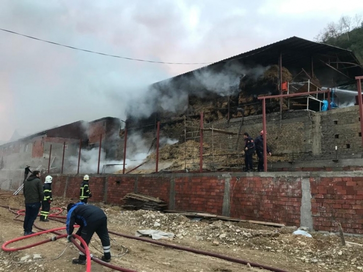 Çiftlikte Çıkan Yangında 12 Ton Saman Balyası Küle Döndü