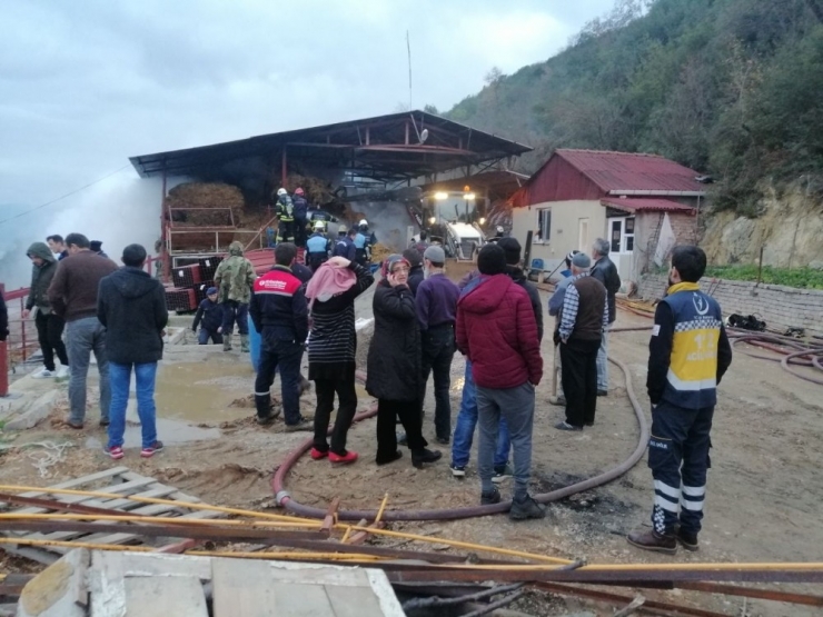 Çiftlikte Çıkan Yangında 12 Ton Saman Balyası Küle Döndü