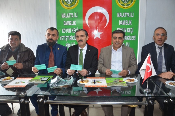 Küçükbaş Hayvanlarda Küpeleme Ve Soybis Çalışması