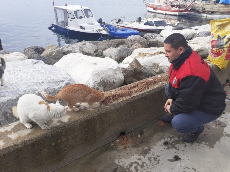 Maltepe’deki Can Dostlara Bin 500 Kilogram Mama