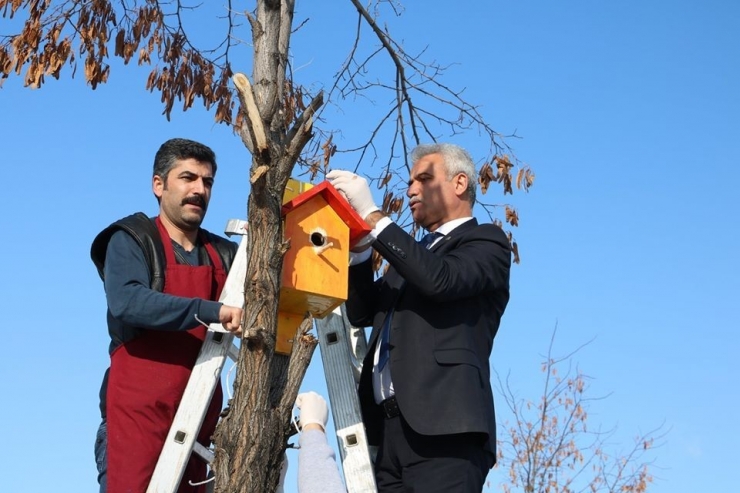 Muş’ta Osmanlı Mimarisi İle Kuş Evleri