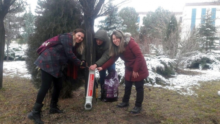 Nevü Hayvanları Koruma Ve Yaşatma Kulübü Ve Kavak Belediyesinden Anlamlı Etkinlik