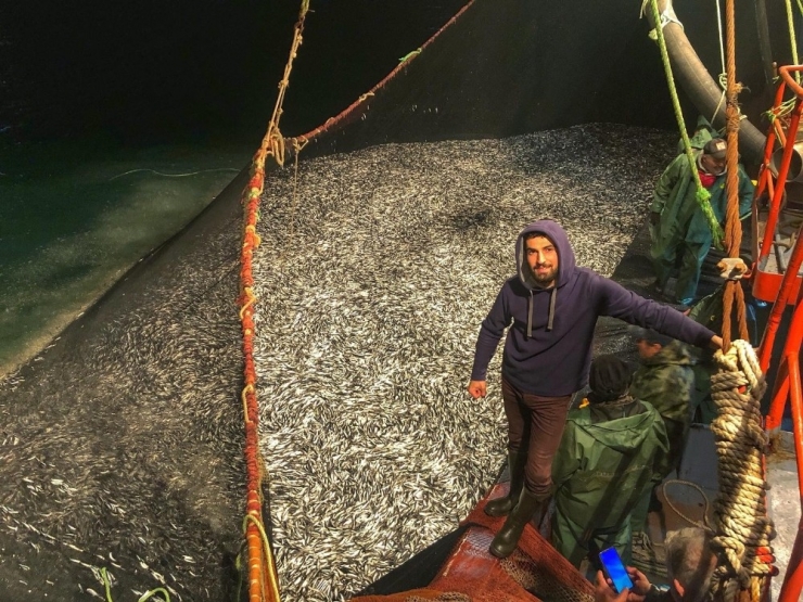 Yerli Hamsi Uzun Bir Aradan Sonra Tezgahlarda