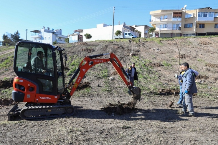 Buca’nın Kalbine Bin Ağaçlık Dev Orman